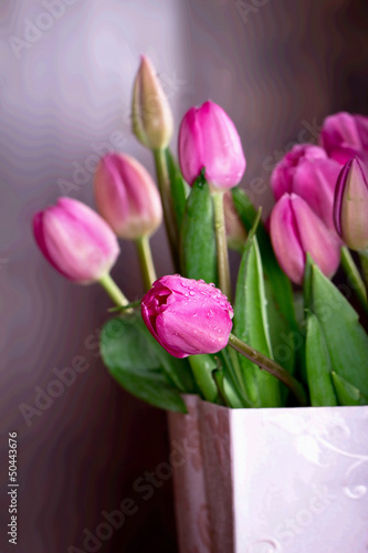 Photo: Pink tulips in a pink bag Pink tulips in a pink bag