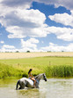 Photo: equestrian on horseback riding through water equestrian on horseback riding through water