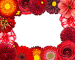 Flower Frame with Red Flowers on Blank Background