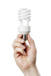 Fluorescent Bulb