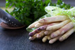 1 Portion frischer Spargel
