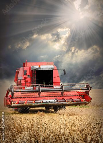 Photo: Combine harvesting wheat . Combine harvesting wheat .
