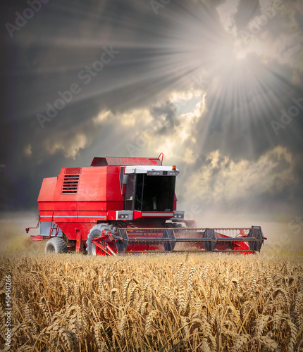 Photo: Combine harvesting wheat . Combine harvesting wheat .