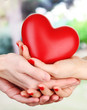 Red heart in woman and man hands, on green background