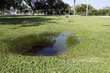 Clogged Storm Drain