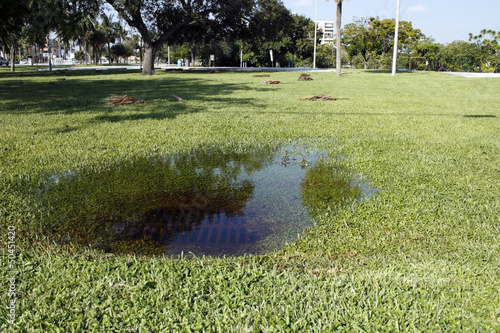 Photo: Clogged Storm Drain Clogged Storm Drain