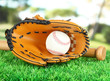 Baseball glove, bat and ball on grass in park