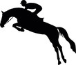Springreiten