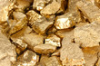 Golden nuggets close-up