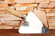 Metal tool for building on brick wall background