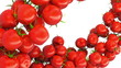 Two Tomato Cherry flows with slow motion. Alpha