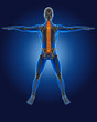 3D medical man with skeleton