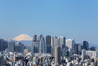 東京都心から富士山を望む