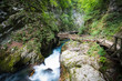 Vintgar canyon