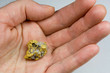 Nevada USA Gold / Quartz Nugget Held in Hand