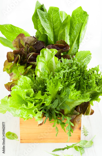 Photo: fresh lettuces fresh lettuces