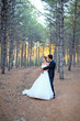 bride and groom ready for the wedding