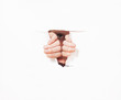 Foto: Young woman looking through torn paper hole Young woman looking through torn paper hole