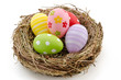 Bunte Ostereier im Nest