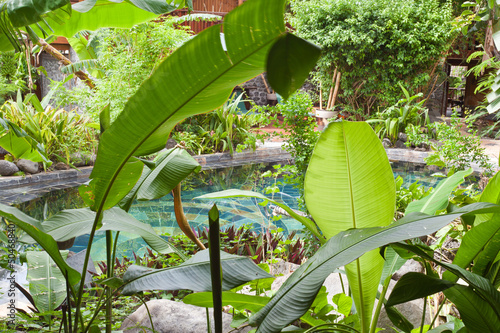 Photo: bassin de jardin bassin de jardin