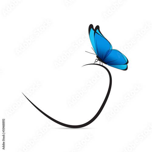 Vector: Papillon bleu et noir Papillon bleu et noir