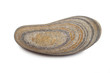 stone on the white background