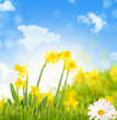 naturlandschaft