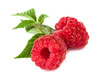 Raspberry isolated
