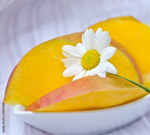 Photo: Mango mit Margerite Mango mit Margerite