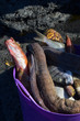 Photo: speisefisch speisefisch
