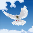 dove with olive branch