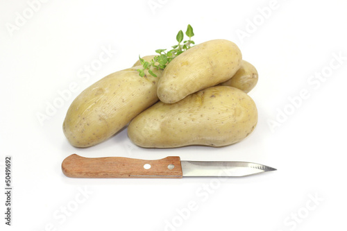 Photo: pommes de terre pommes de terre