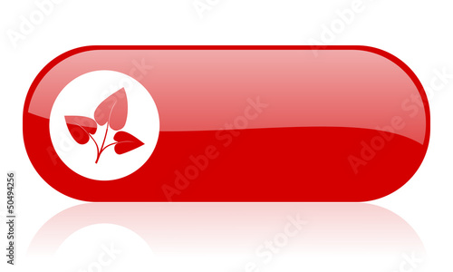 Illustration: eco red web glossy icon eco red web glossy icon
