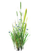 field of grass