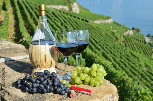 Photo: Wine on the terrace vineyard in Lavaux region, Switzerland Wine on the terrace vineyard in Lavaux region, Switzerland