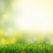 graslandschaft
