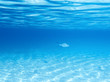 Photo: Underwater Underwater