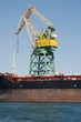 Dock