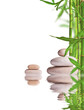 Photo: Spa still life with lava stones and bamboo sprouts Spa still life with lava stones and bamboo sprouts