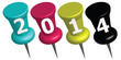 Pinnadeln CMYK Jahreszahl 2014