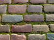 Pavement and grass