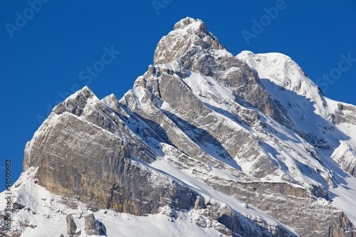 Photo: Winter landscape Winter landscape