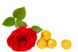 Candies and red rose