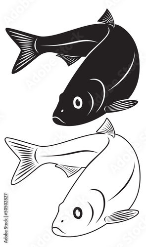 Vector: herring herring