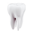 3D Tooth