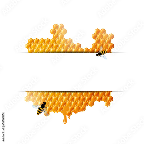 Vector: Vector Illustration of a Honey Background Vector Illustration of a Honey Background