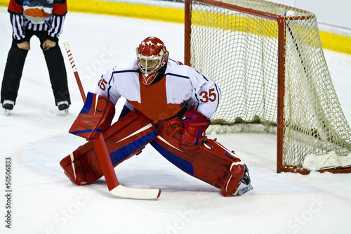 Photo: hockey goalie hockey goalie