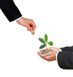 Investing to green business