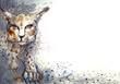 lynx
