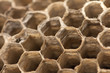 Photo: beautiful honeycomb , background beautiful honeycomb , background